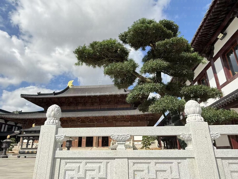 嘉兴仿古建筑设计公司，专业施工团队，倾力打造寺庙设计规划精品